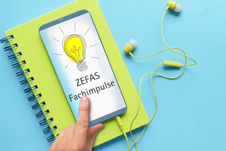 ZEFAS Fachimpulse