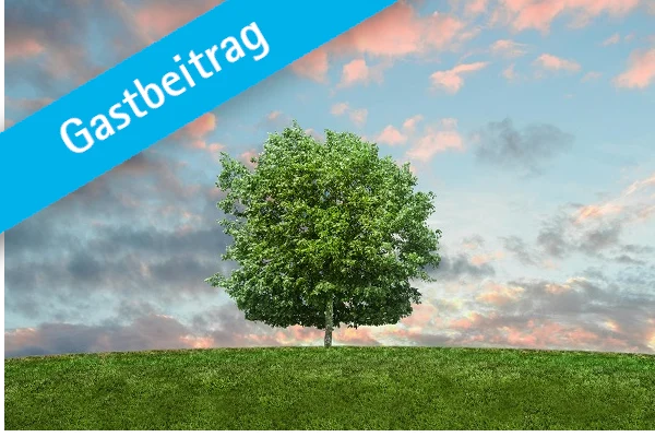 Gastbeitrag: Baum